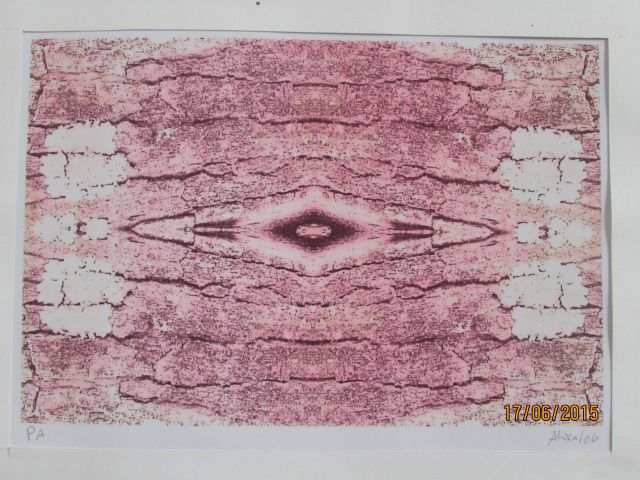 OBRA 06