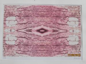 OBRA 06